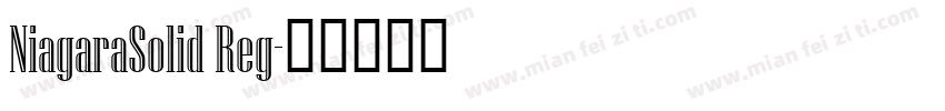 NiagaraSolid Reg字体转换